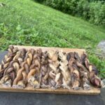 6 inch thick braided bully sticks,
