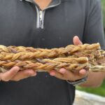 12-Inch Braided Bully Sticks for Dog