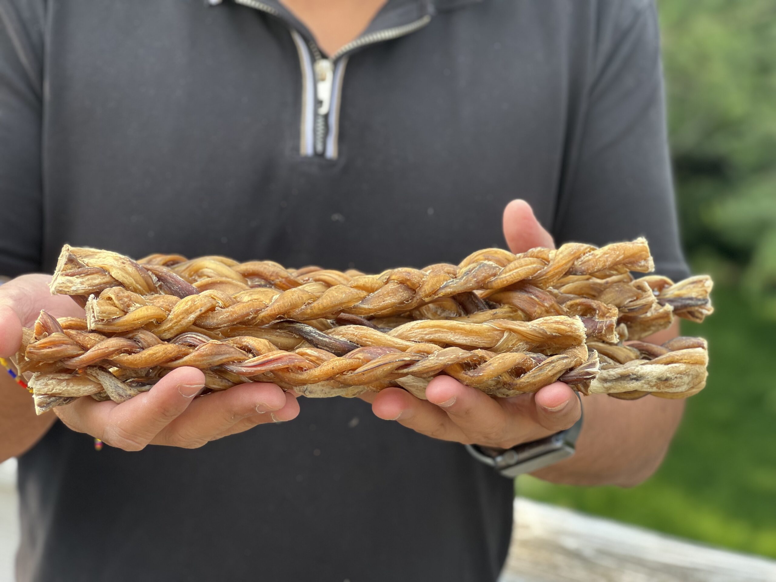 12-Inch Braided Bully Sticks for Dog